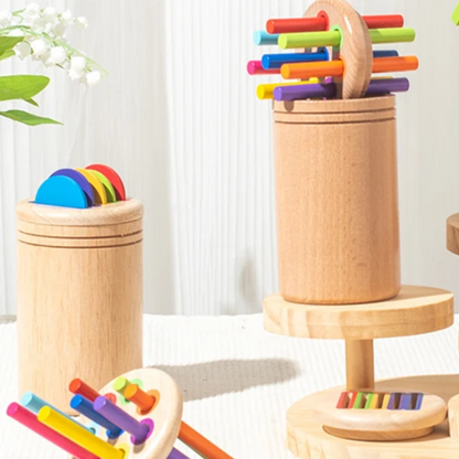 Wooden Color Sorting Toy
